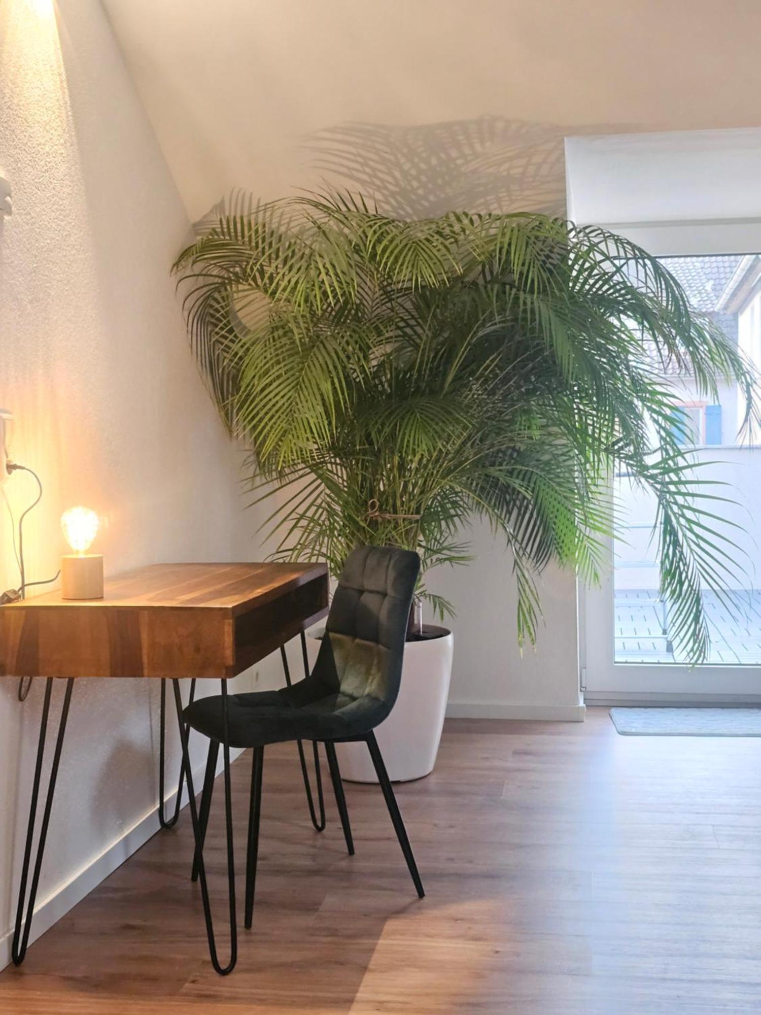 Design-Penthouse I 90Qm I Europapark 20 Min I Boxspring I Nespresso I Parking Apartment Lahr  Exterior photo